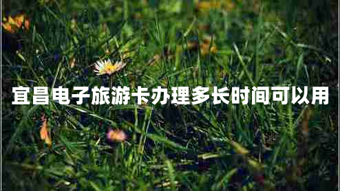 宜昌電子旅游卡辦理多長(zhǎng)時(shí)間可以用