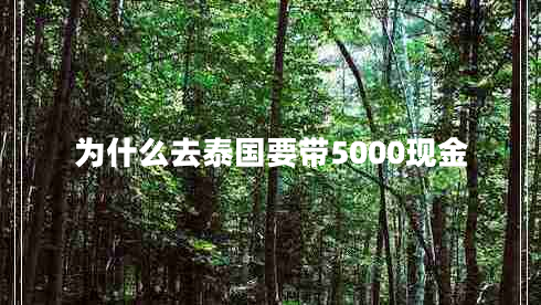 為什么去泰國(guó)要帶5000現(xiàn)金
