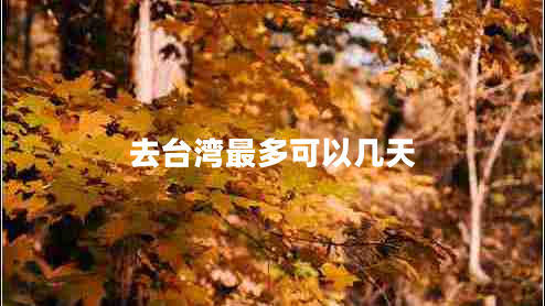 去臺(tái)灣最多可以幾天