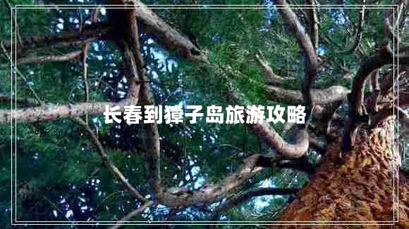 長(zhǎng)春到獐子島旅游攻略