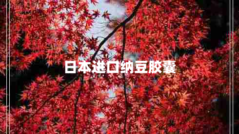 日本進口納豆膠囊