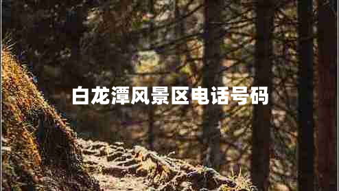 白龍?zhí)讹L(fēng)景區(qū)電話(huà)號(hào)碼