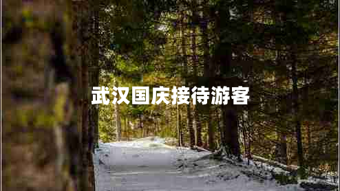武漢國(guó)慶接待游客