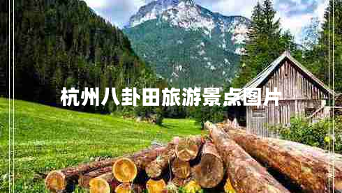 杭州八卦田旅游景點圖片