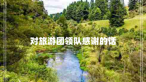 對(duì)旅游團(tuán)領(lǐng)隊(duì)感謝的話(huà)