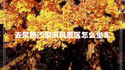 去常熟沙家浜風(fēng)景區(qū)怎么坐車