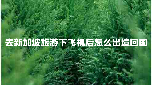 去新加坡旅游下飛機(jī)后怎么出境回國