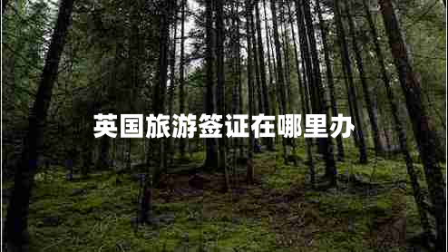 英國旅游簽證在哪里辦