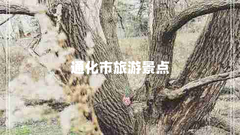 通化市旅游景點