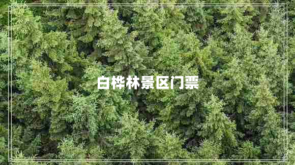 白樺林景區(qū)門(mén)票