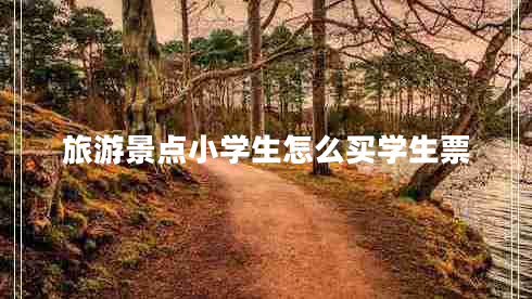 旅游景點(diǎn)小學(xué)生怎么買學(xué)生票