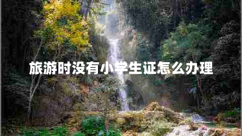旅游時沒有小學(xué)生證怎么辦理