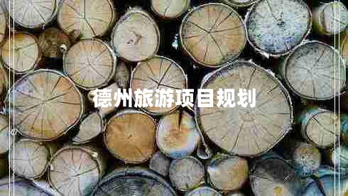 德州旅游項(xiàng)目規(guī)劃