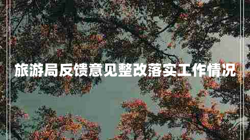 旅游局反饋意見整改落實(shí)工作情況