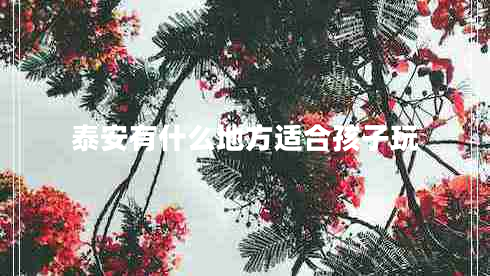 泰安有什么地方適合孩子玩