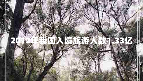 2012年我國(guó)入境旅游人數(shù)1.33億