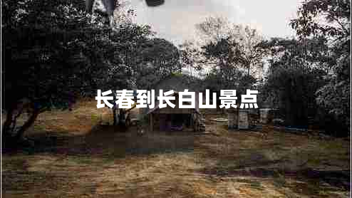 長春到長白山景點
