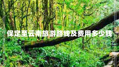 保定至云南旅游路線及費用多少錢