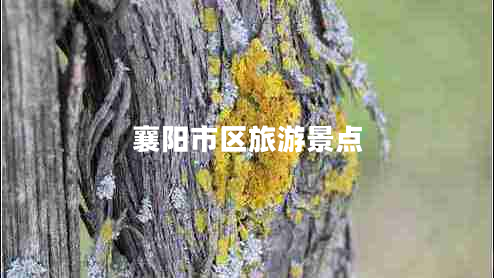 襄陽市區(qū)旅游景點(diǎn)