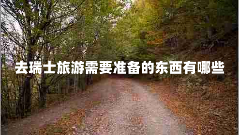 去瑞士旅游需要準(zhǔn)備的東西有哪些