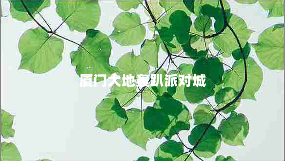 廈門大地轟趴派對(duì)城