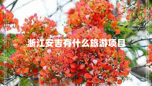 浙江安吉有什么旅游項(xiàng)目
