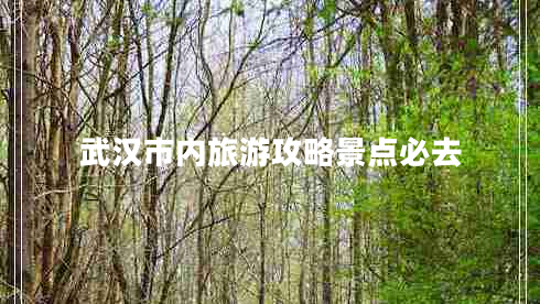 武漢市內(nèi)旅游攻略景點必去