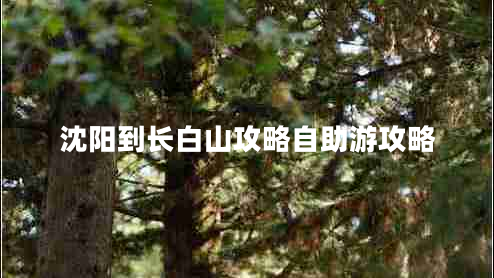 沈陽到長白山攻略自助游攻略