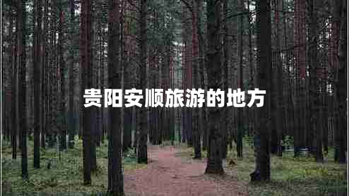貴陽安順旅游的地方