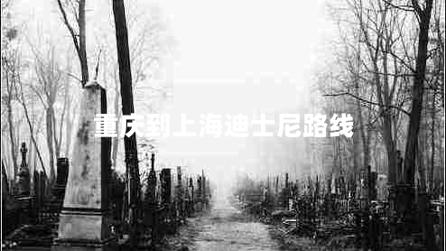 重慶到上海迪士尼路線