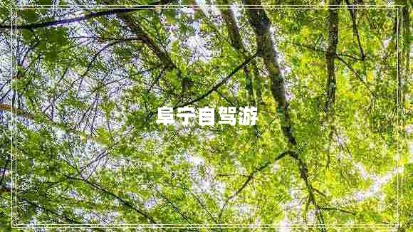 阜寧自駕游 阜寧自駕游