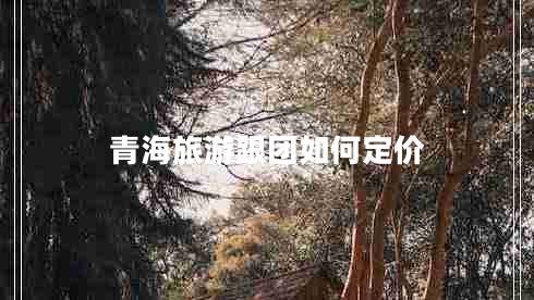 青海旅游跟團(tuán)如何定價