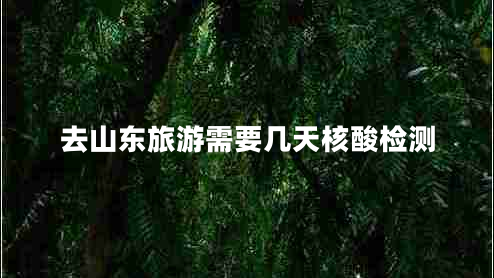 去山東旅游需要幾天核酸檢測(cè)
