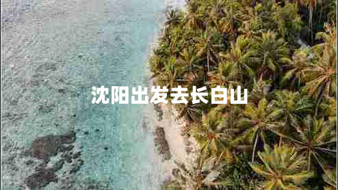 沈陽出發(fā)去長(zhǎng)白山