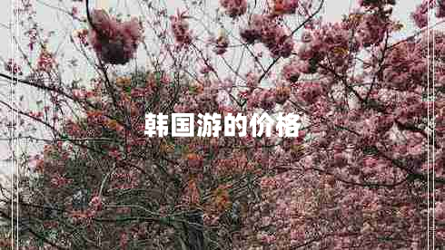 韓國游的價格