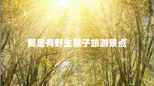 那里有野生猴子旅游景點