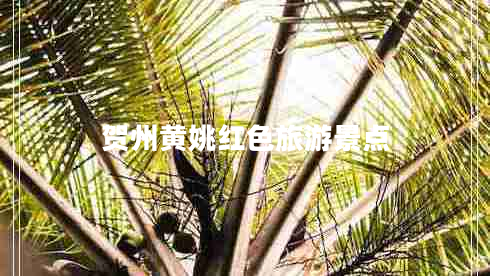 賀州黃姚紅色旅游景點(diǎn)