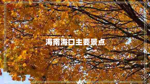 海南?？谥饕包c(diǎn)