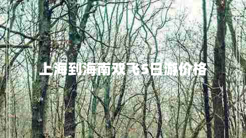 上海到海南雙飛5日游價格