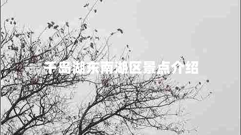 千島湖東南湖區(qū)景點介紹