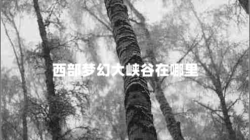 西部夢幻大峽谷在哪里