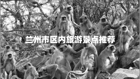 蘭州市區(qū)內(nèi)旅游景點推薦 蘭州市區(qū)內(nèi)旅游景點推薦