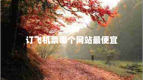 訂飛機票哪個網(wǎng)站最便宜