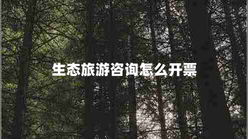 生態(tài)旅游咨詢(xún)?cè)趺撮_(kāi)票