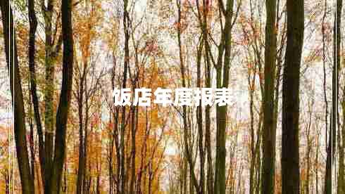 飯店年度報(bào)表