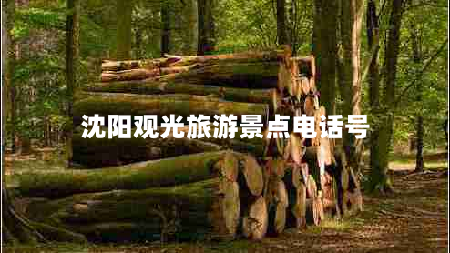 沈陽(yáng)觀光旅游景點(diǎn)電話(huà)號(hào)