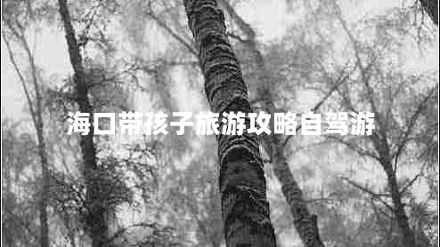?？趲Ш⒆勇糜喂ヂ宰择{游
