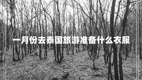 一月份去泰國(guó)旅游準(zhǔn)備什么衣服