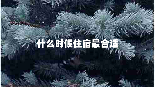 什么時候住宿最合適