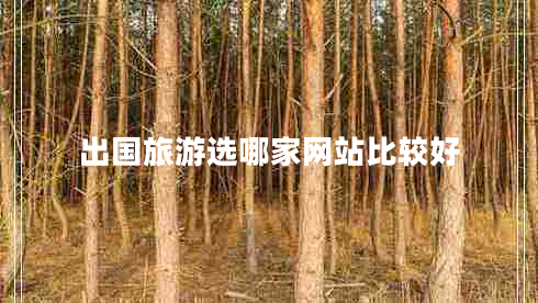 出國(guó)旅游選哪家網(wǎng)站比較好